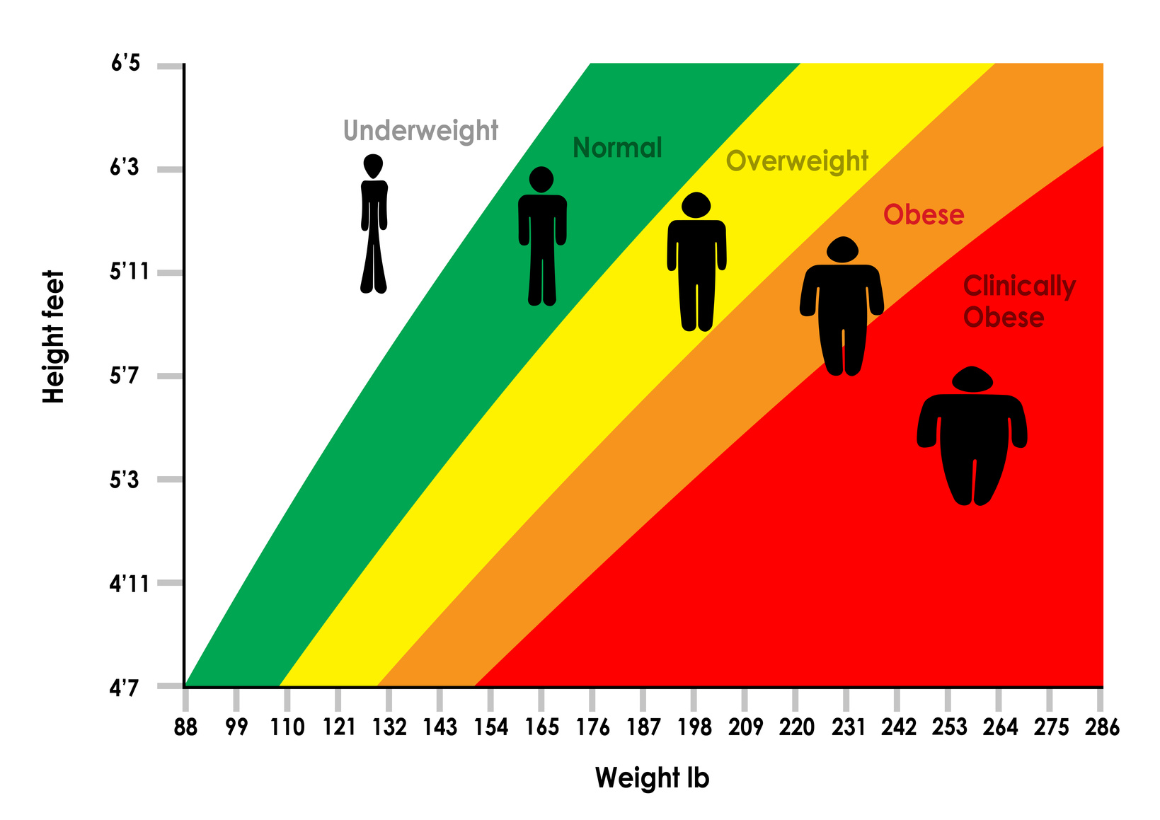 Bmi Rate Chart