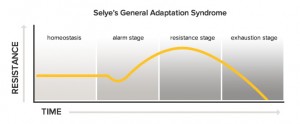 general-adaptation-syndrome